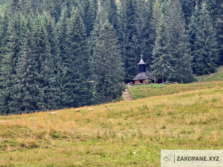 Dolina Chochołowska