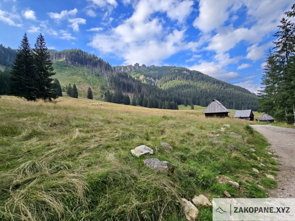 dolina chochołowska 19-07-2024