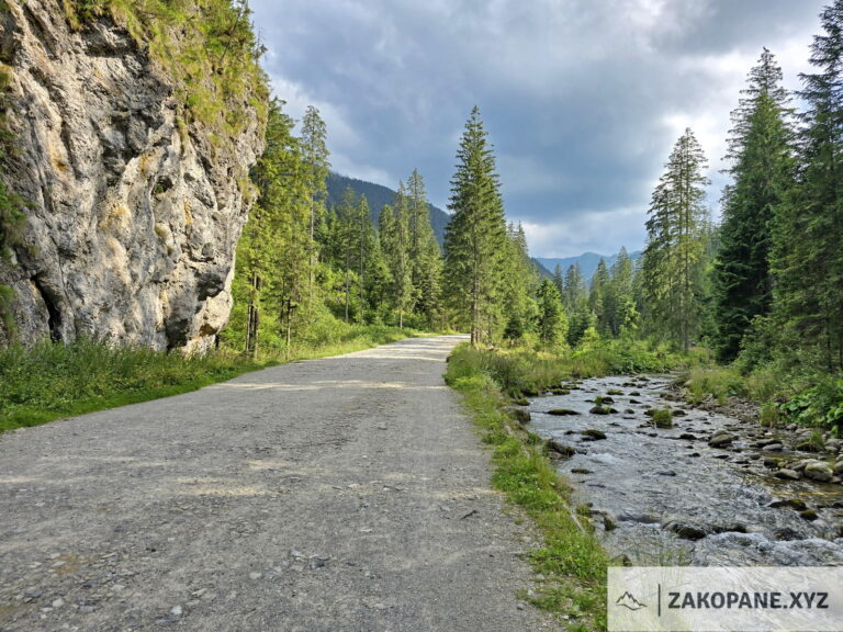 Dolina Chochołowska