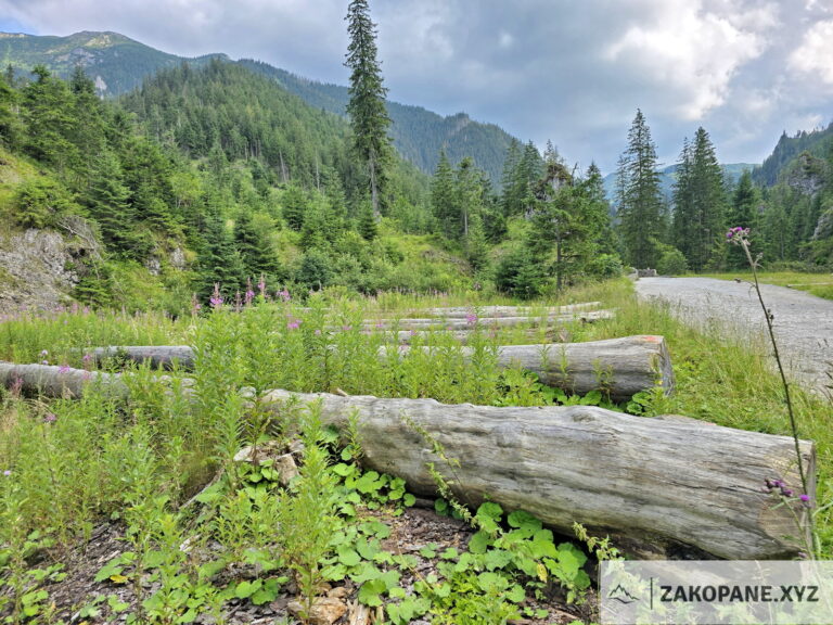 Dolina Chochołowska