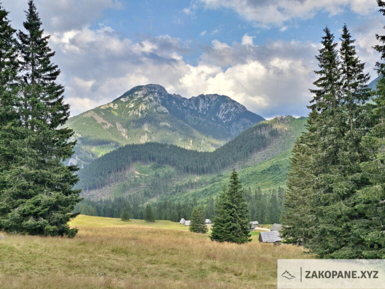 Dolina Chochołowska