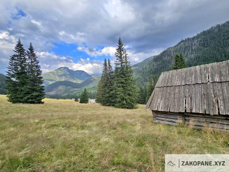 Dolina Chochołowska